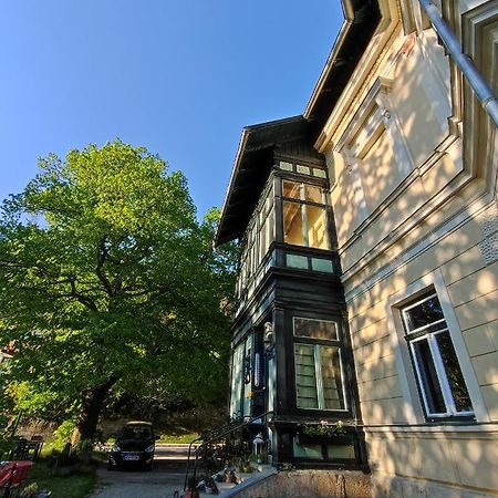 Villa Petterhof Schottwien Экстерьер фото